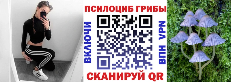 Галлюциногенные грибы мицелий Тбилисская